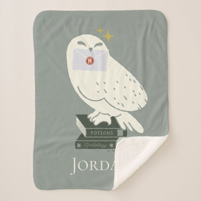 Hedwig With Letter Whimsical Drawing Sherpadecke (Vorderseite)