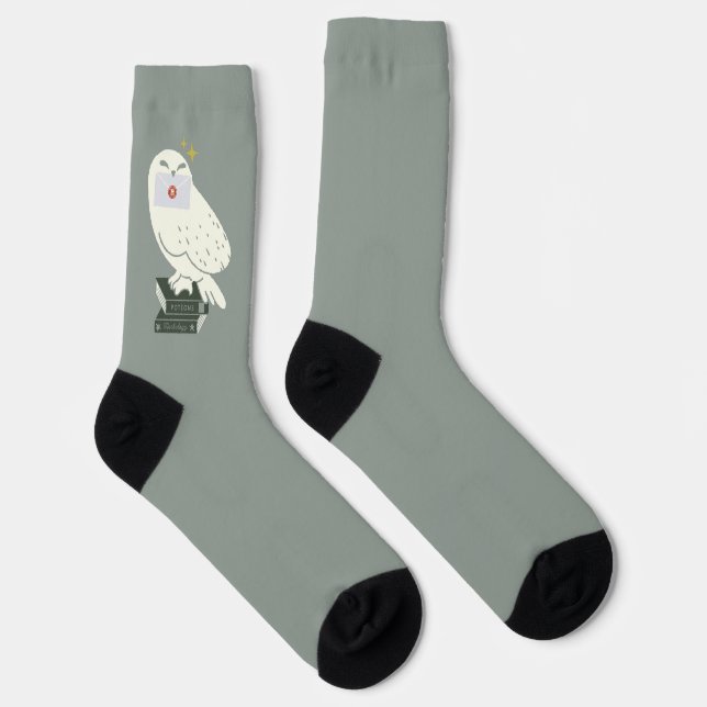 Hedwig With Letter Whimsical Drawing Socken (Rechts)