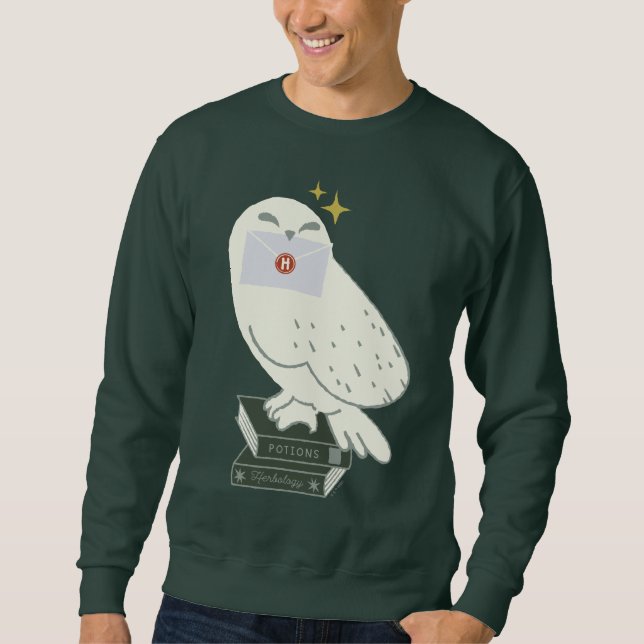 Hedwig With Letter Whimsical Drawing Sweatshirt (Vorderseite)