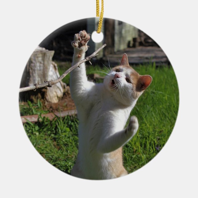 Heftiger Fleischfresser Keramik Ornament (Vorne)