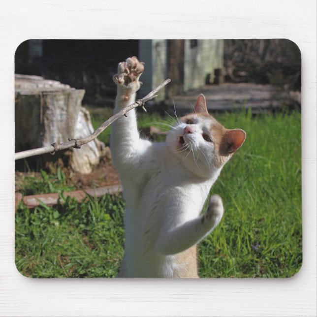 Heftiger Fleischfresser Mousepad (Vorne)