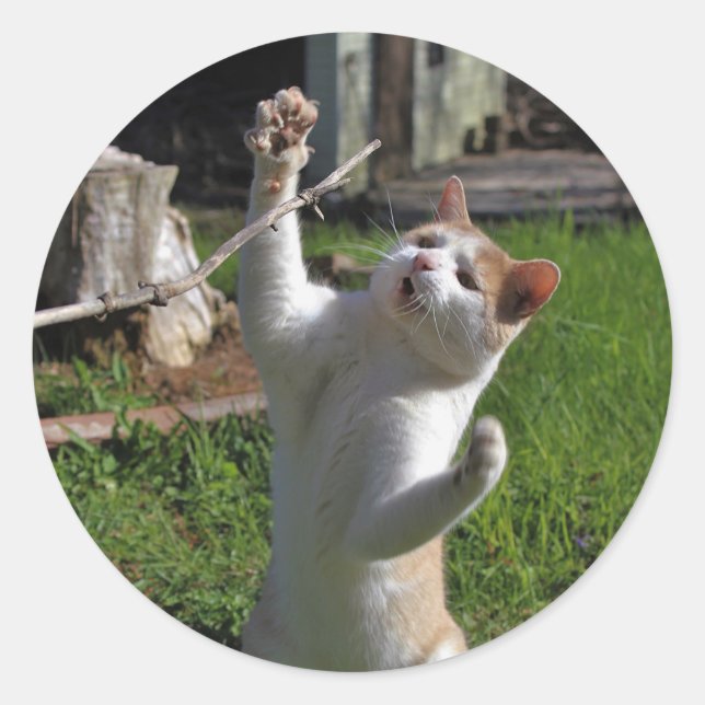 Heftiger Fleischfresser Runder Aufkleber (Vorderseite)