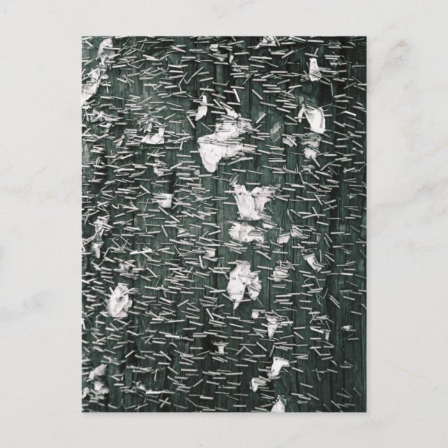 Heftklammern Postkarte (Vorderseite)