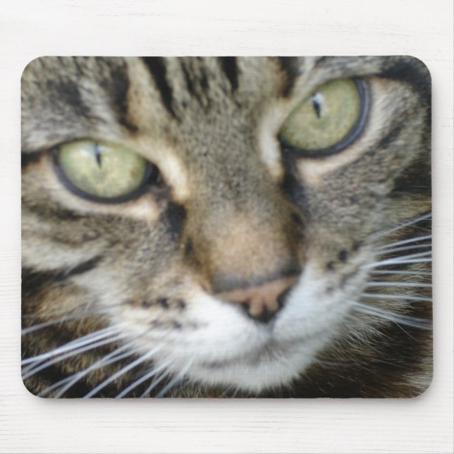 Heide-Katzen-Mäusematte Mousepad (Vorne)