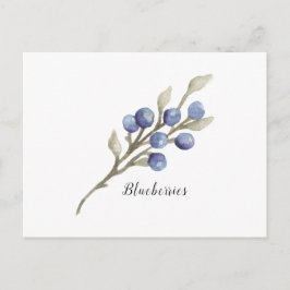 Heidelbeeren auf Zweig Postkarte