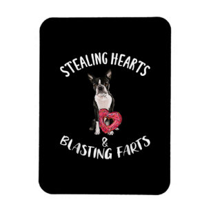 Heidenrauschen von Furzen Boston Terrier Magnet