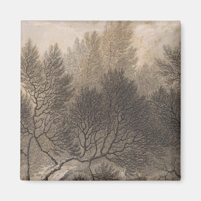 Heidewald, Madeira Magnet (Vorne)