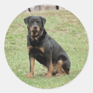 Heidi-Aufkleber Runder Aufkleber