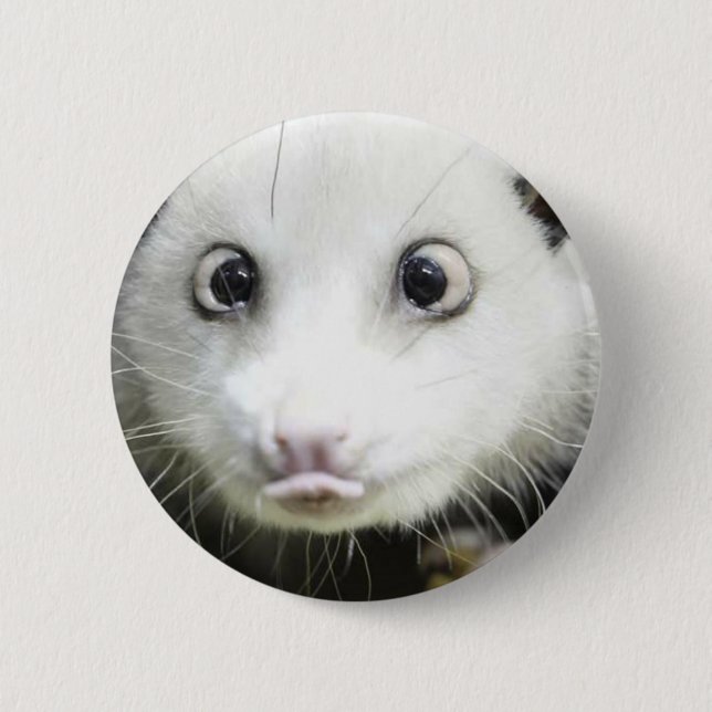 Heidi Das Mit Augen Opossum Button (Vorderseite)