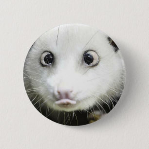 Heidi Das Mit Augen Opossum Button