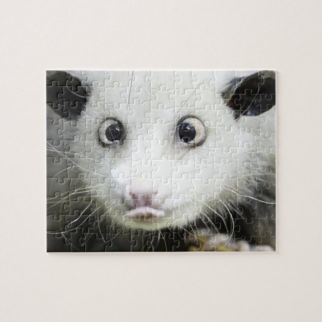 Heidi Das Mit Augen Opossum Puzzle (Horizontal)