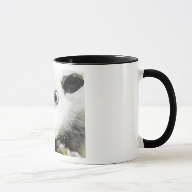 Heidi Das Mit Augen Opossum Tasse (Rechts)