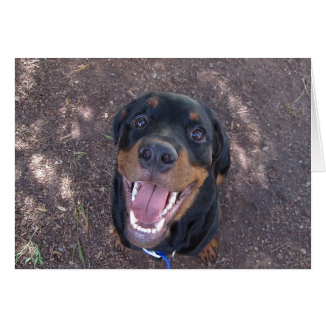 Heidi Happy Rottweiler Blank Greeting Card (Vorderseite (Horizontal))