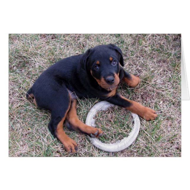 Heidi Rottweiler zählt die Stundenkarte (Vorderseite (Horizontal))