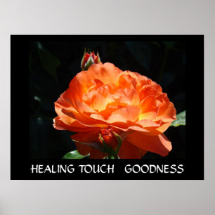 HEILENDE BERÜHRUNG GESCHENKE Rose Kunst Druck GÜTE Poster