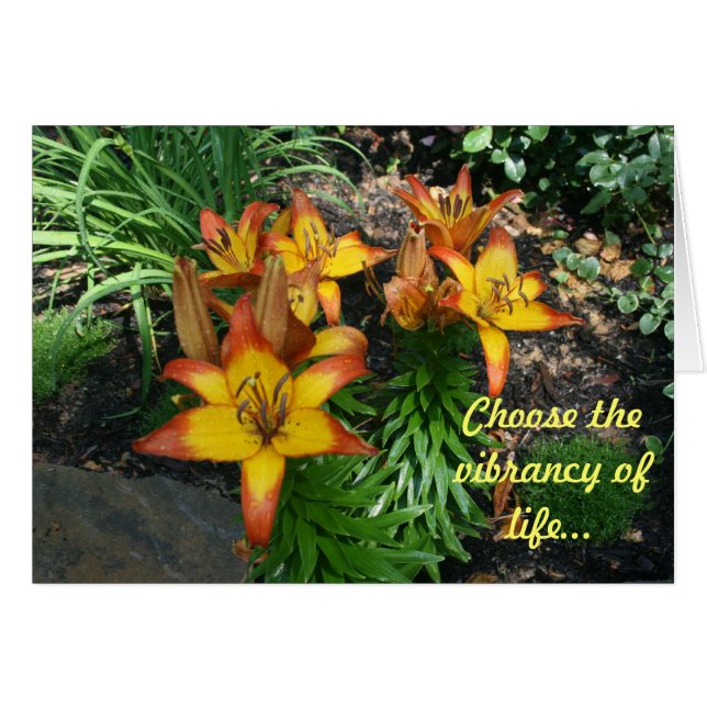 Heilende Karten (Vorderseite (Horizontal))