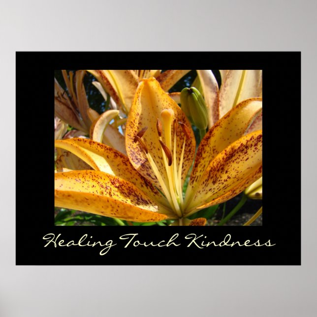 Heilende Touch Kindness Kunstdrucke Orange Lily Poster (Vorne)