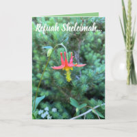 Heilgebet, Refuah Sheleimah