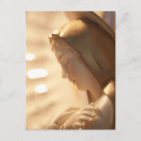 Heilige Mary Post Card