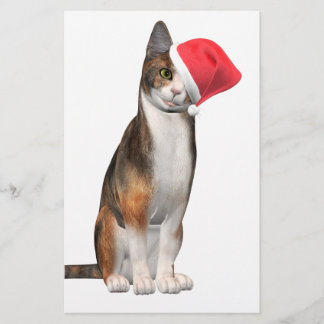 Heilige Weihnachten mit einer spielerischen Katze Briefpapier