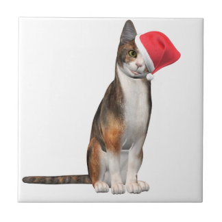 Heilige Weihnachten mit einer spielerischen Katze Fliese