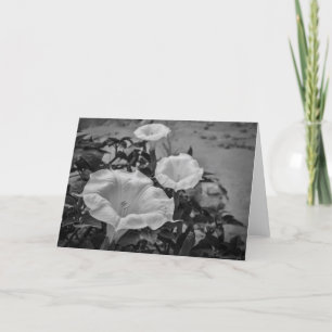 Heiliger Stechapfel Karte