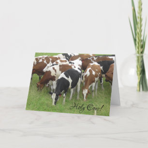 Heiliger Strohsack, Alles Gute Zum Geburtstag Kart Karte