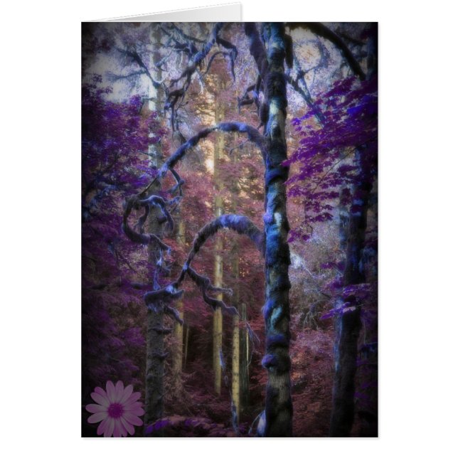 Heiliger Wald (Vorne)