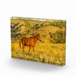 Heiligtum des Wilden Pferdes. Fotoblock