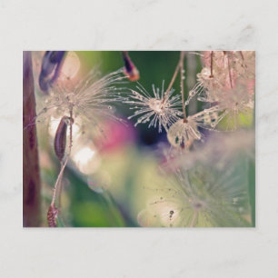 Heiligtum von Dandellion Postkarte