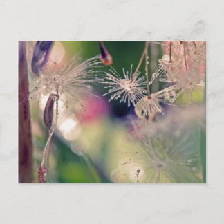 Heiligtum von Dandellion Postkarte