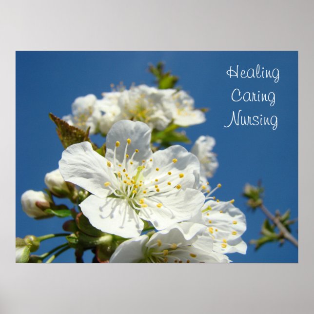 Heilung Kümmernd Pflegeplakate Blauer Himmel Blühe Poster (Vorne)
