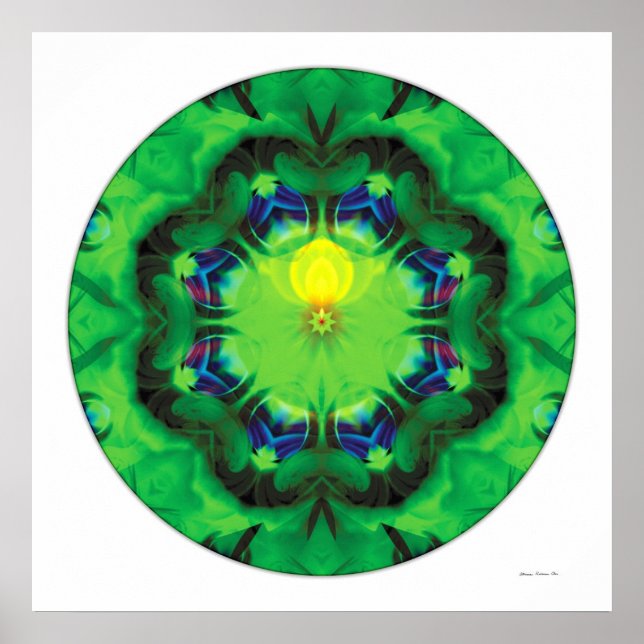 Heilung Mandala 3 Poster (Vorne)