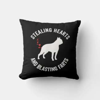 Heilung und Strahlen von Furzen Boston Terrier Kissen