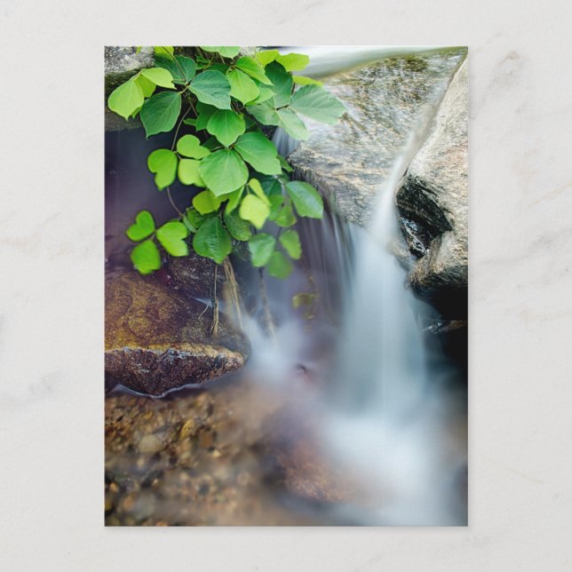 Heilwasserstrom Postkarte (Vorderseite)