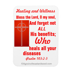 Heilwellness Magnet