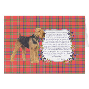 Heim-Airedale - Welsh - Lakeland