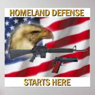 Heimat Defense Poster