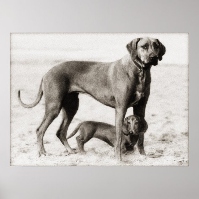 heimat poster (Vorne)