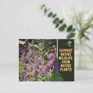 Heimische Pflanzen anbauen, Waldwildblumen Eisenhu Postkarte