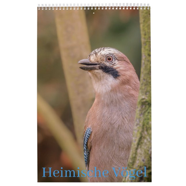 Heimische Vögel Kalender (Titelbild)