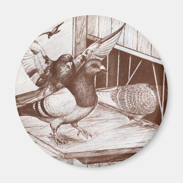 Heimkinder Magnet (Vorne)