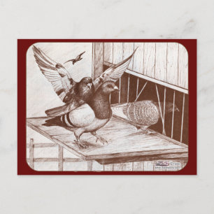 Heimkinder Postkarte