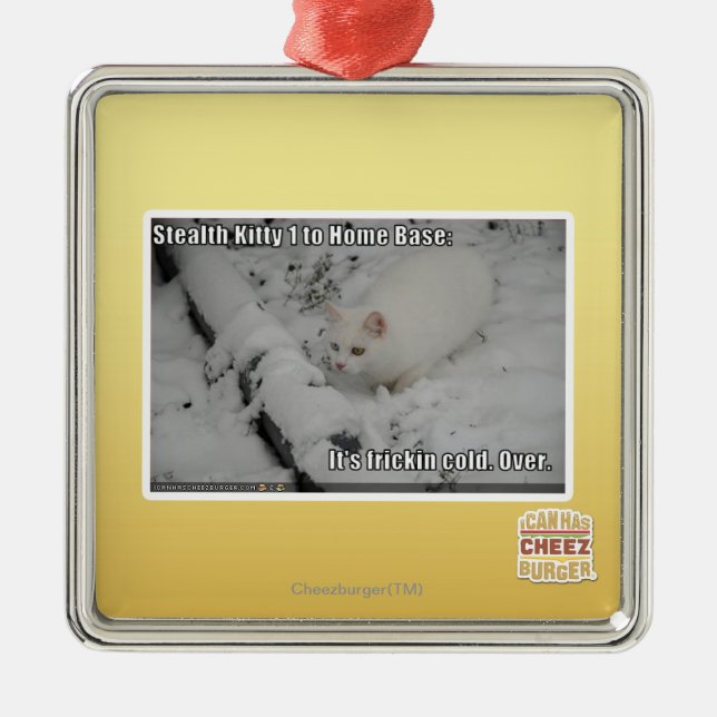 Heimlichkeits-Miezekatze 1 Ornament Aus Metall (Vorne)