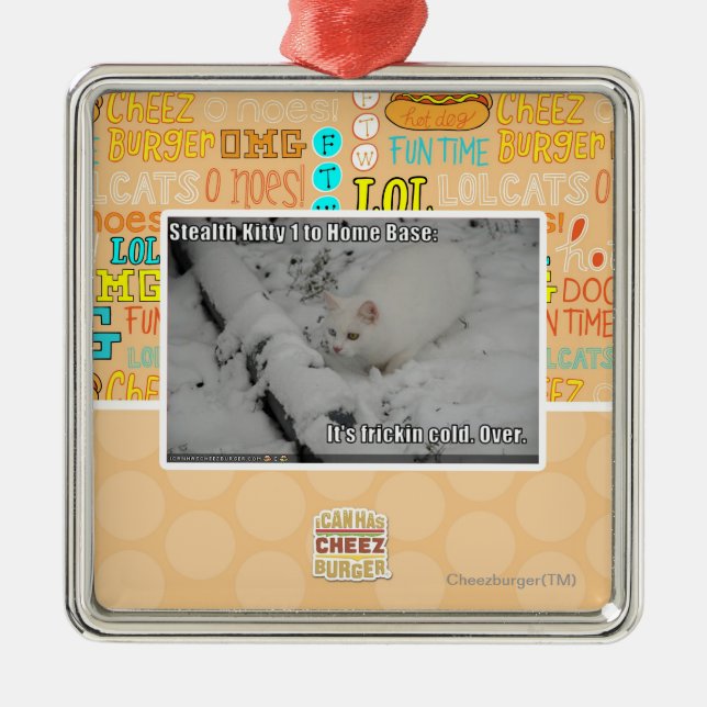 Heimlichkeits-Miezekatze 1 Ornament Aus Metall (Vorne)