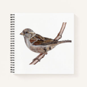 Heimsparkebird (Passer Domesticus) Notebook Notizbuch