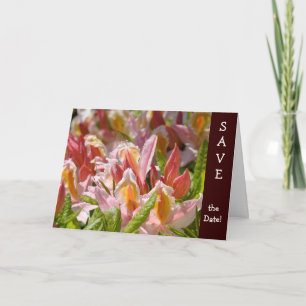 HEIRATSTermin-Karten! Hochzeiten Heiraten! Ankündigung