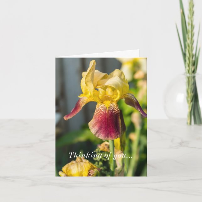 Heirloom Iris denken Karte (Vorderseite)