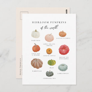 Heirloom Pumpkins Fall Postkarte