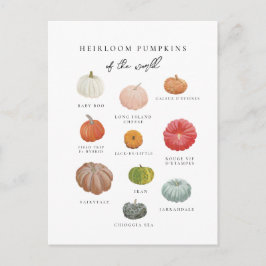 Heirloom Pumpkins Fall Postkarte